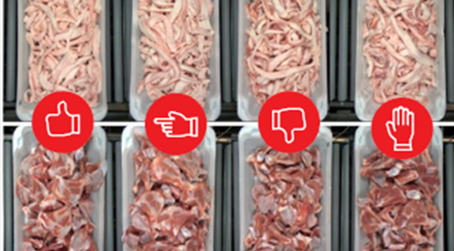 ai inspect of pork cut